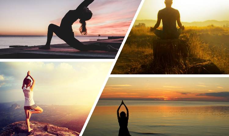 Yoga & Wellness